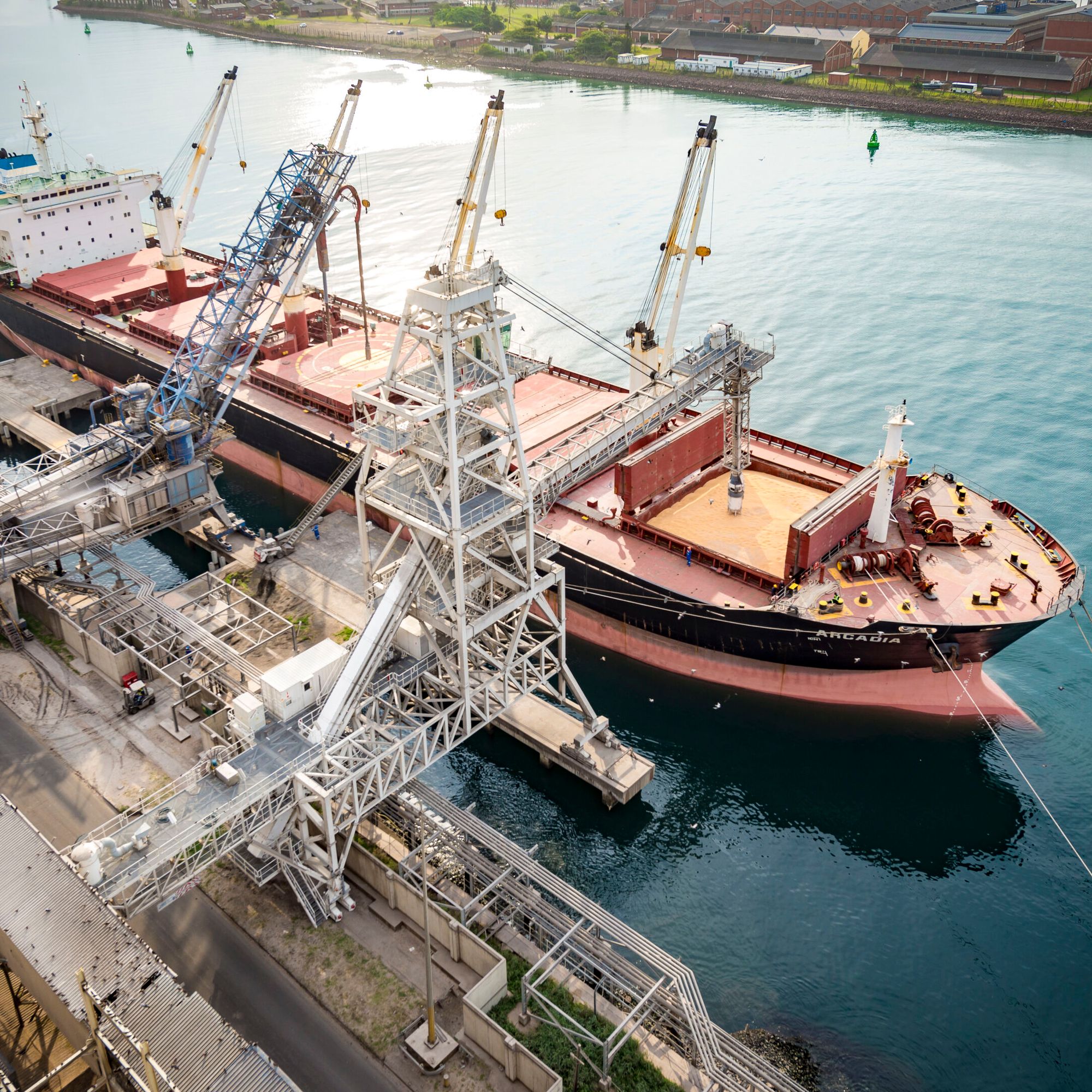 Bulk port material handling operations