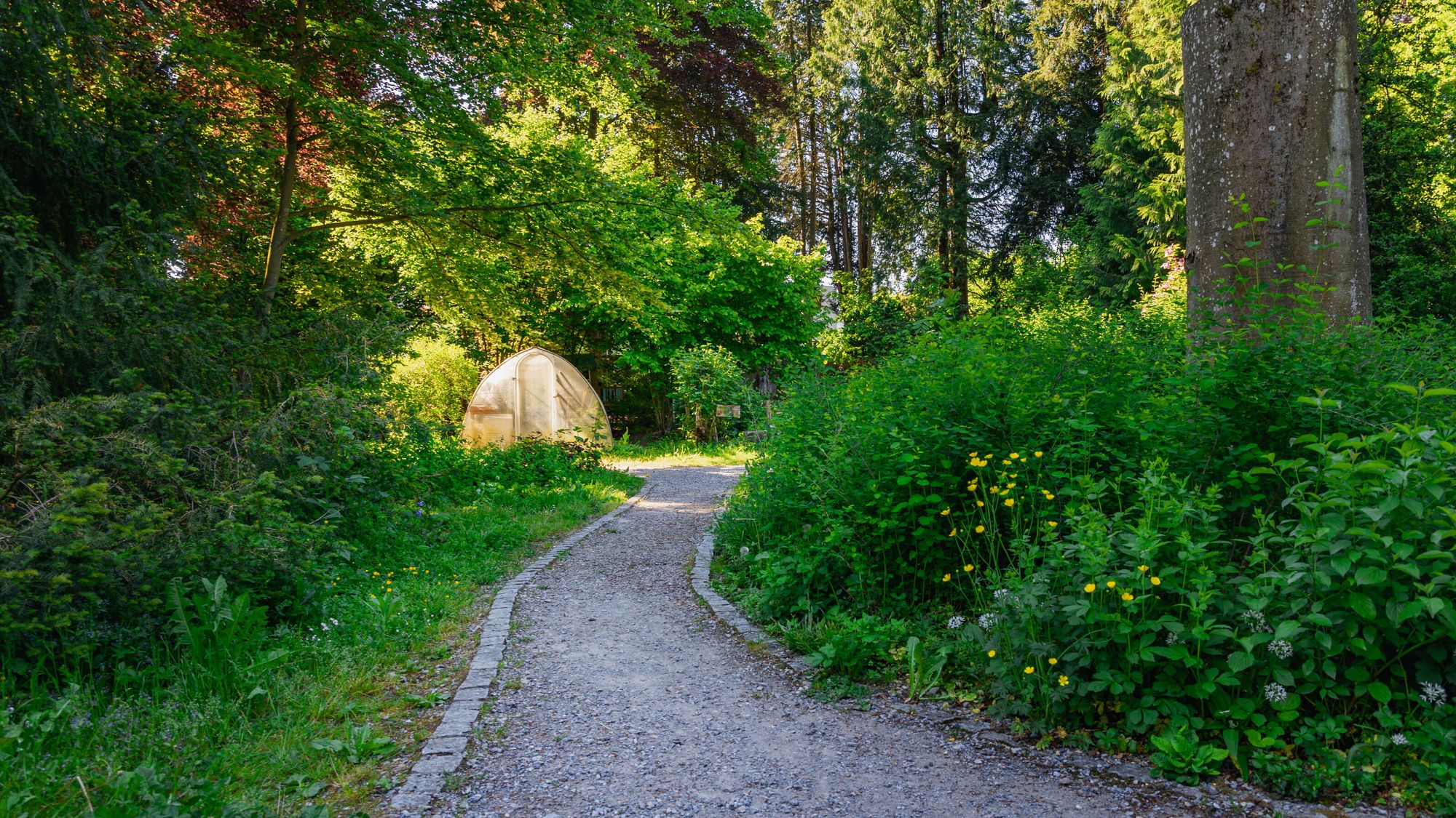 spacious_park_1.jpg