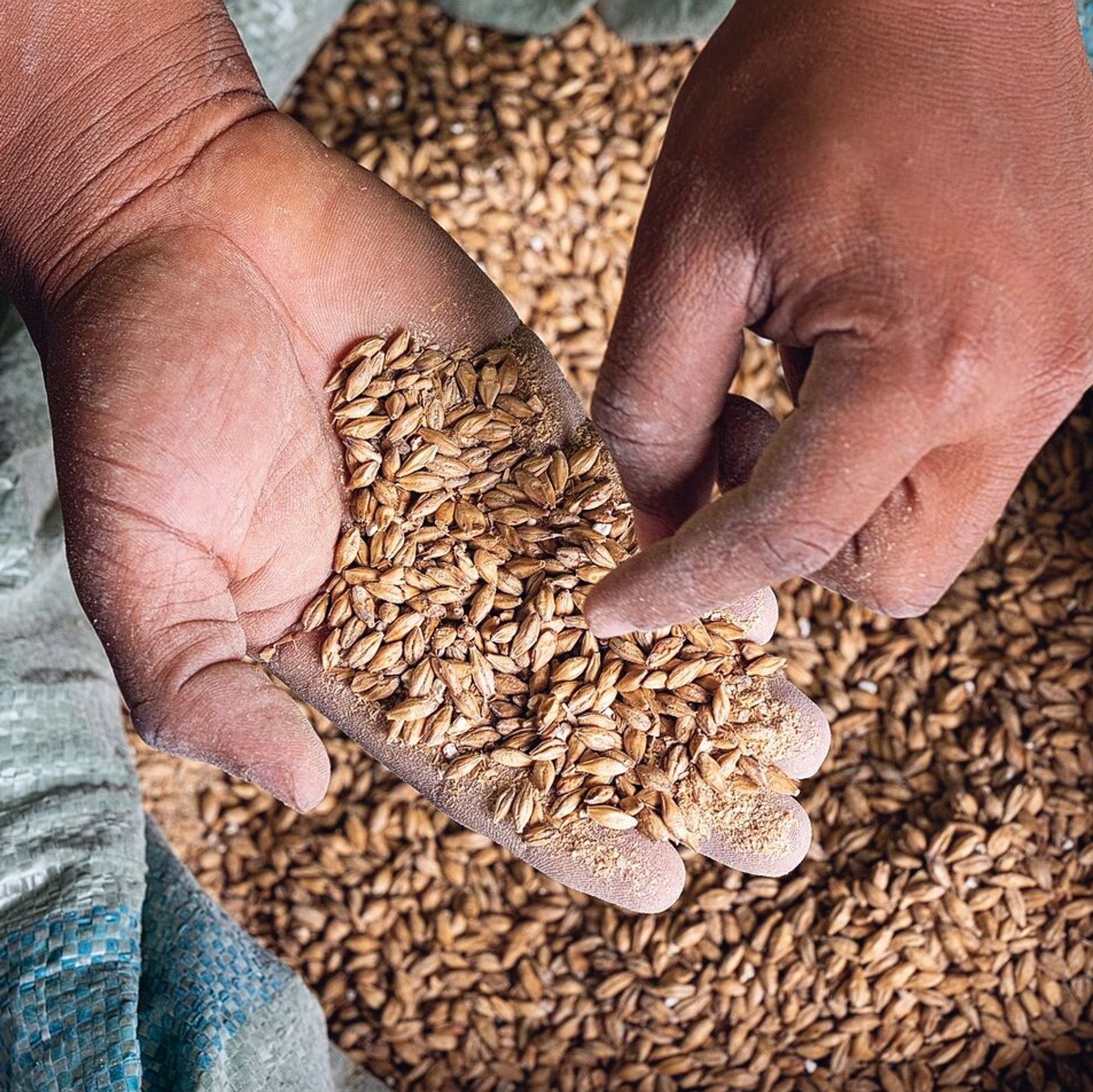 ABI_Tanzania_RimoMalt