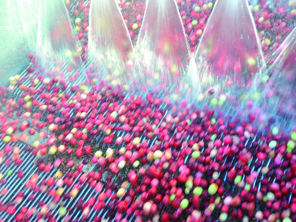 Waste Reduction | Energy Efficiency | Bühler Group