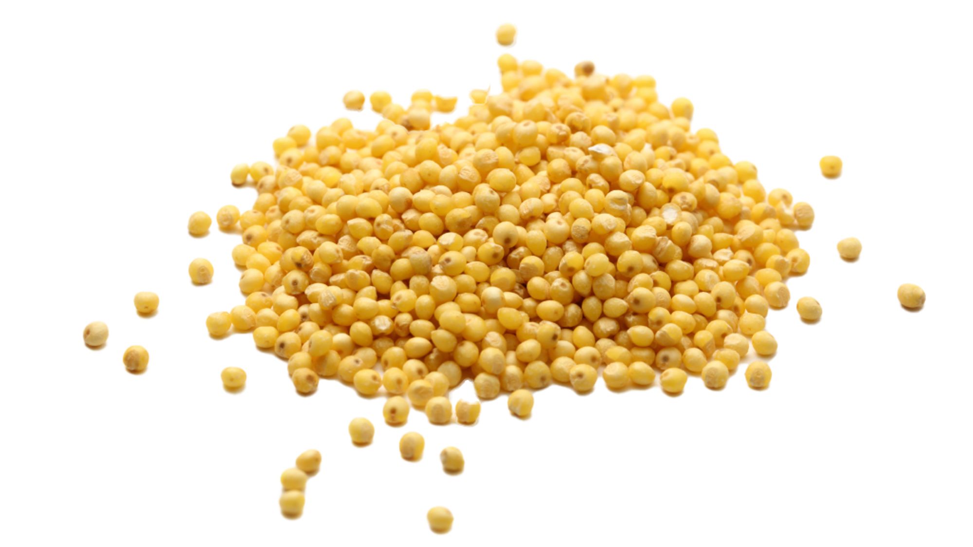 Pearled millet