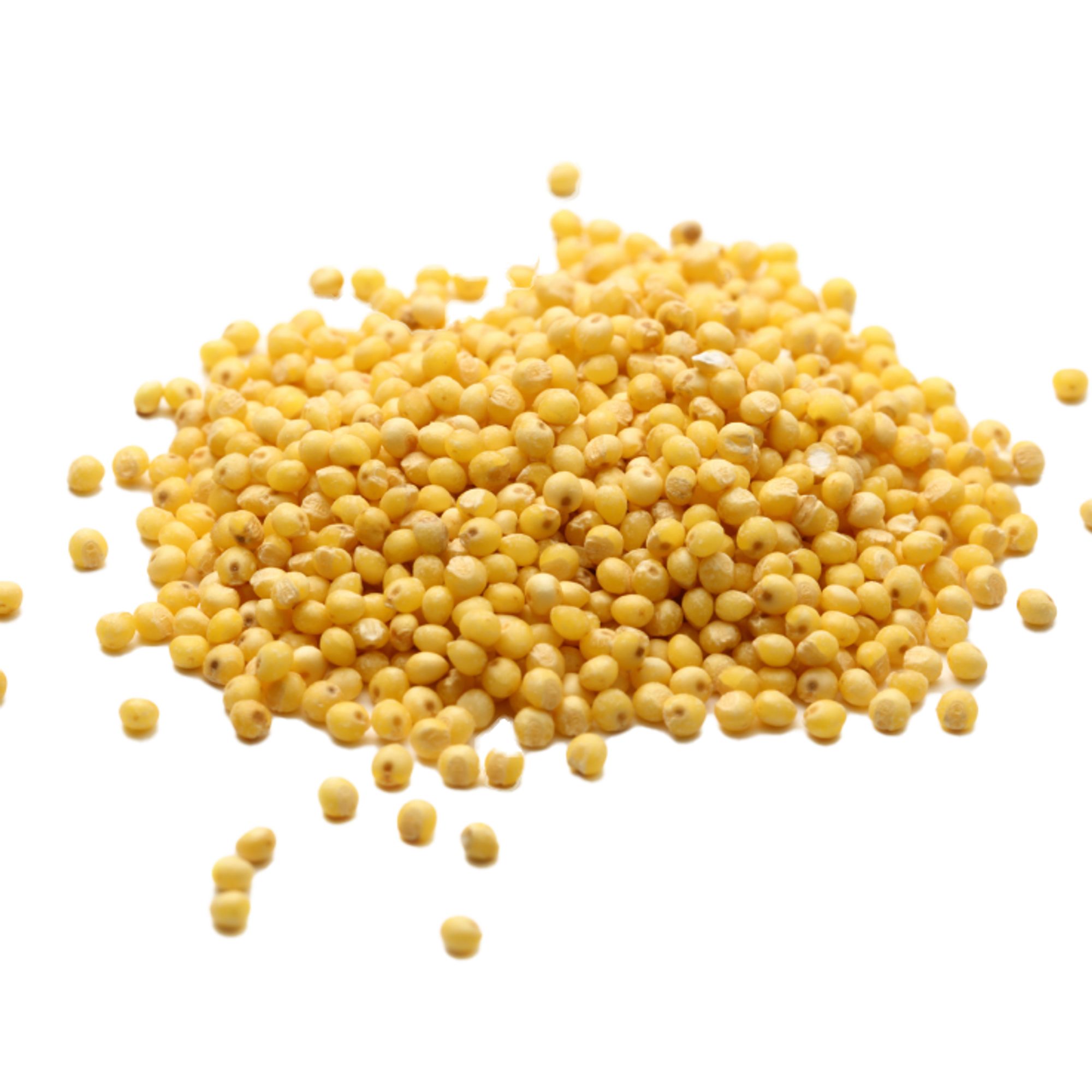 Pearled millet