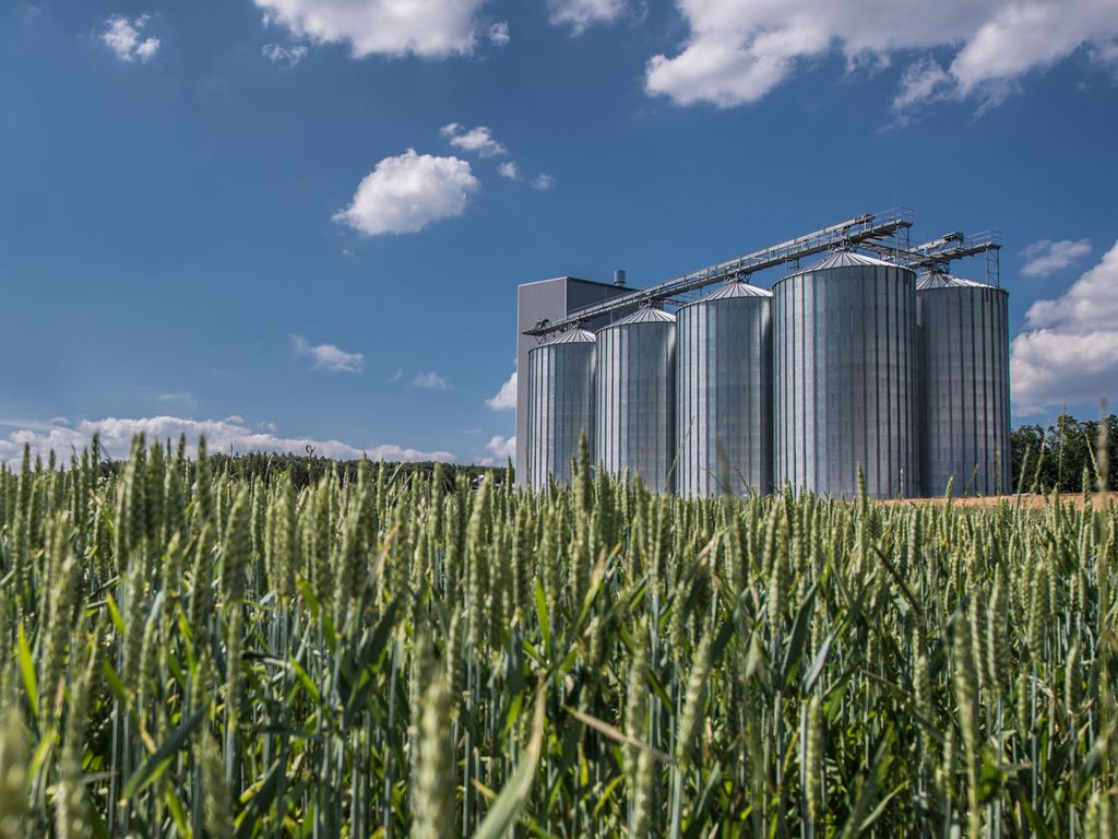 Grain Handling and Storage | Our Solutions | Bühler Group