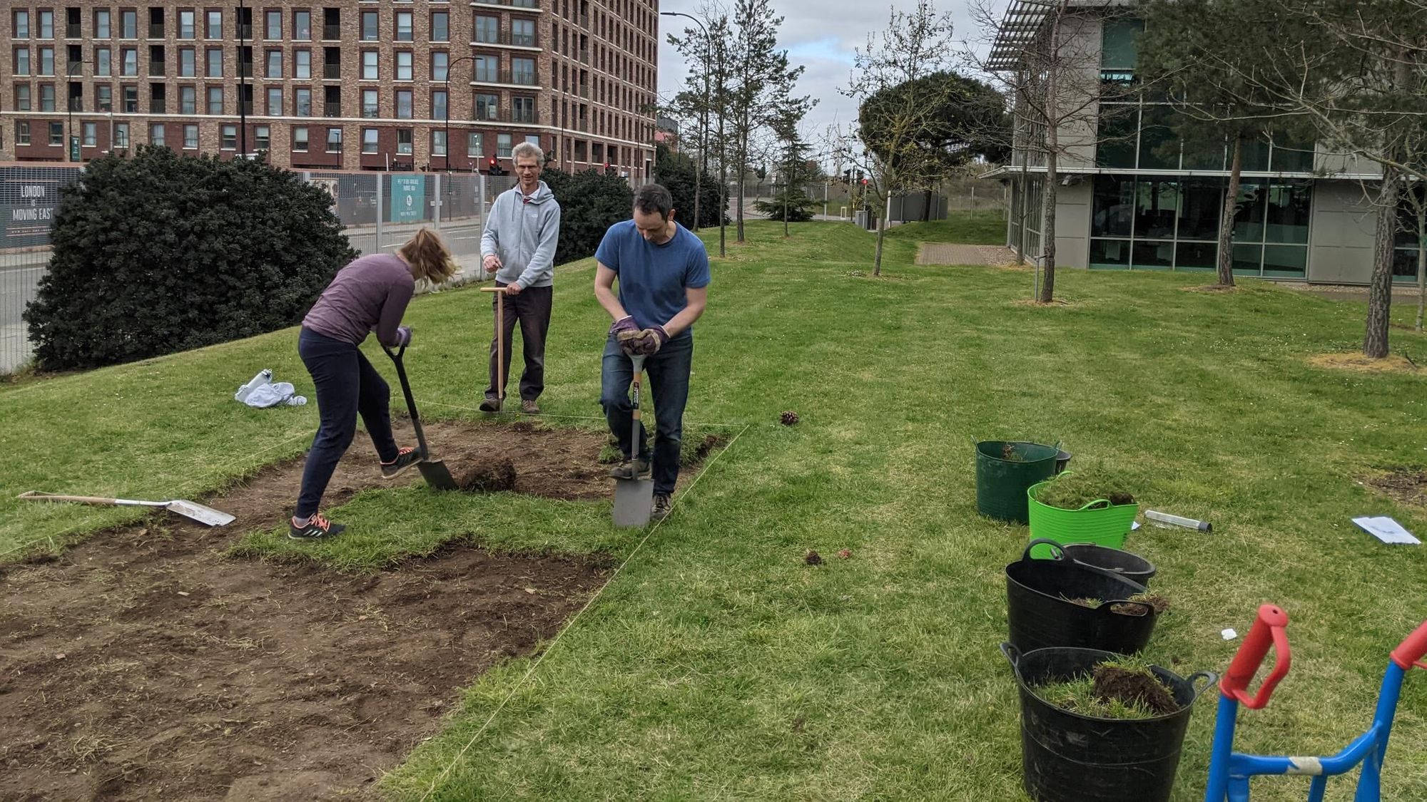 Vicky Mills, Gabriel Hamid und Jamie Mitchinson schneiden die Grasnarbe vor der Aussaat einer Kornblumenwiese aus.