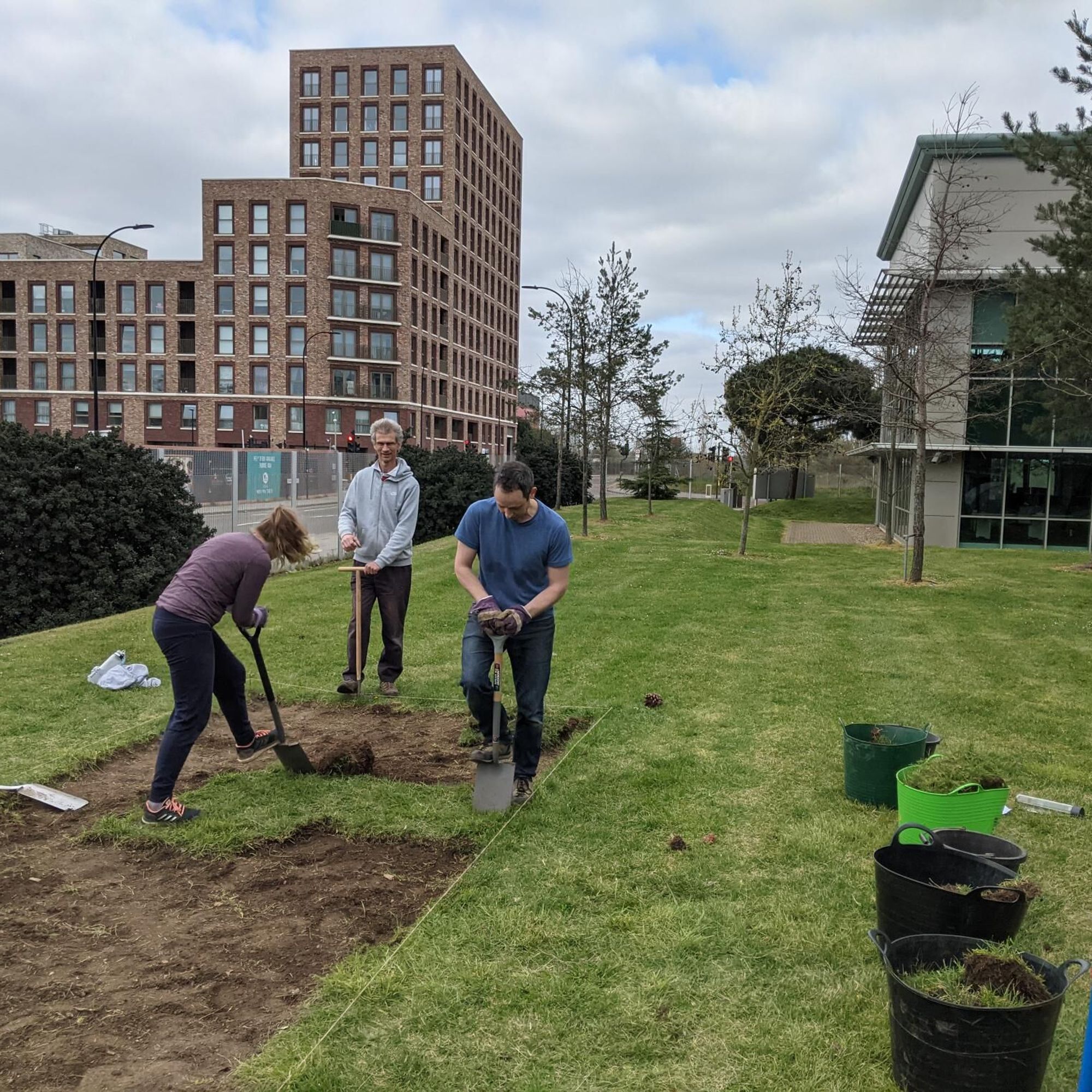Vicky Mills, Gabriel Hamid und Jamie Mitchinson schneiden die Grasnarbe vor der Aussaat einer Kornblumenwiese aus.