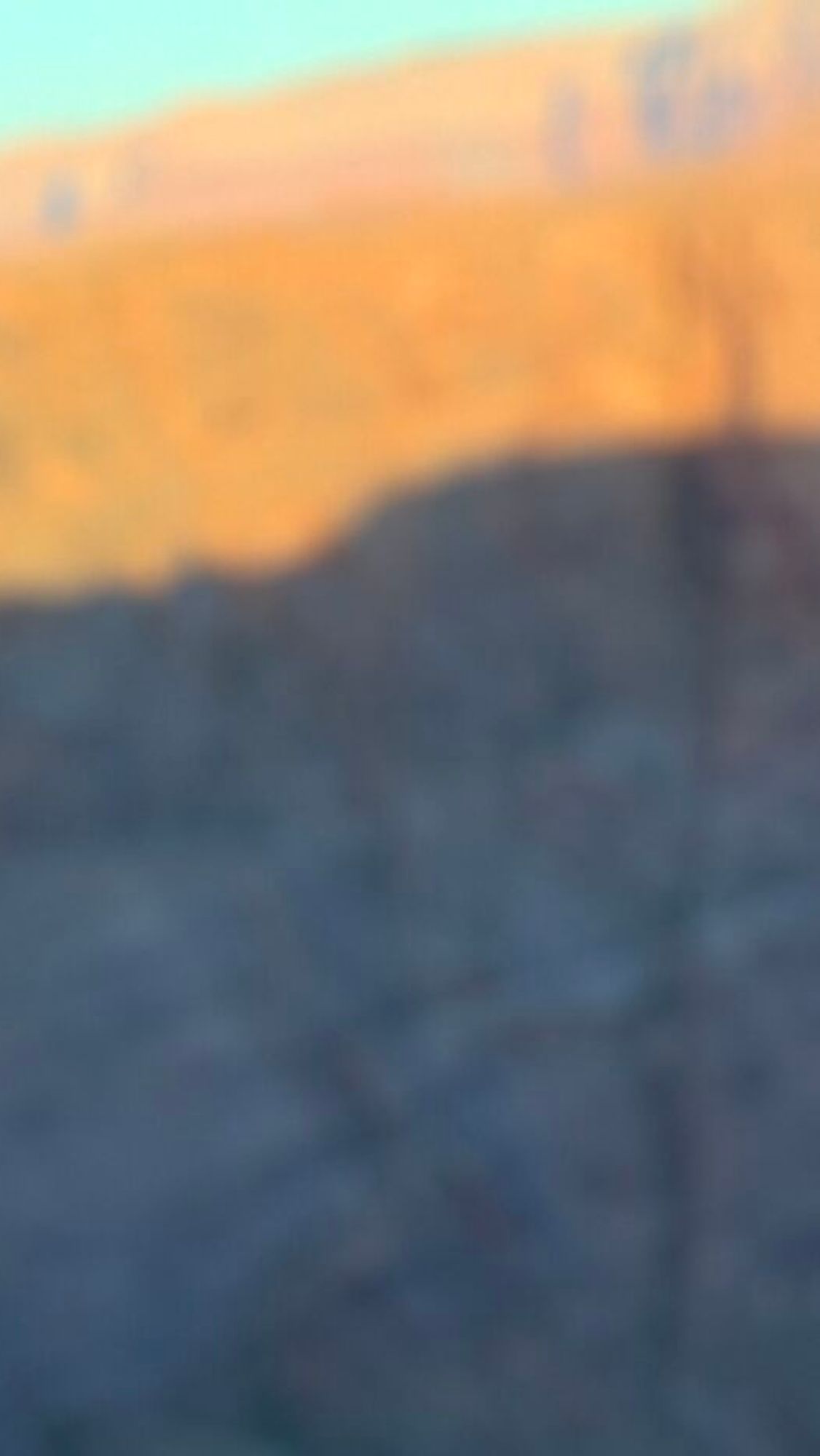 Brian Williams, Horseshoe bend Arizona