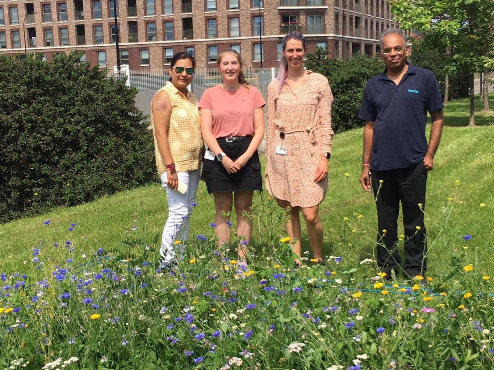 Auf einer Summer Lunchtime Tour wurden die Aktivitäten der WBG präsentiert. Hier sind Ansuya Chhana, Vicky Mills, Nora Schillinger und Ashokbhai Patel neben der malerischen Kornblumenwiese zu sehen.