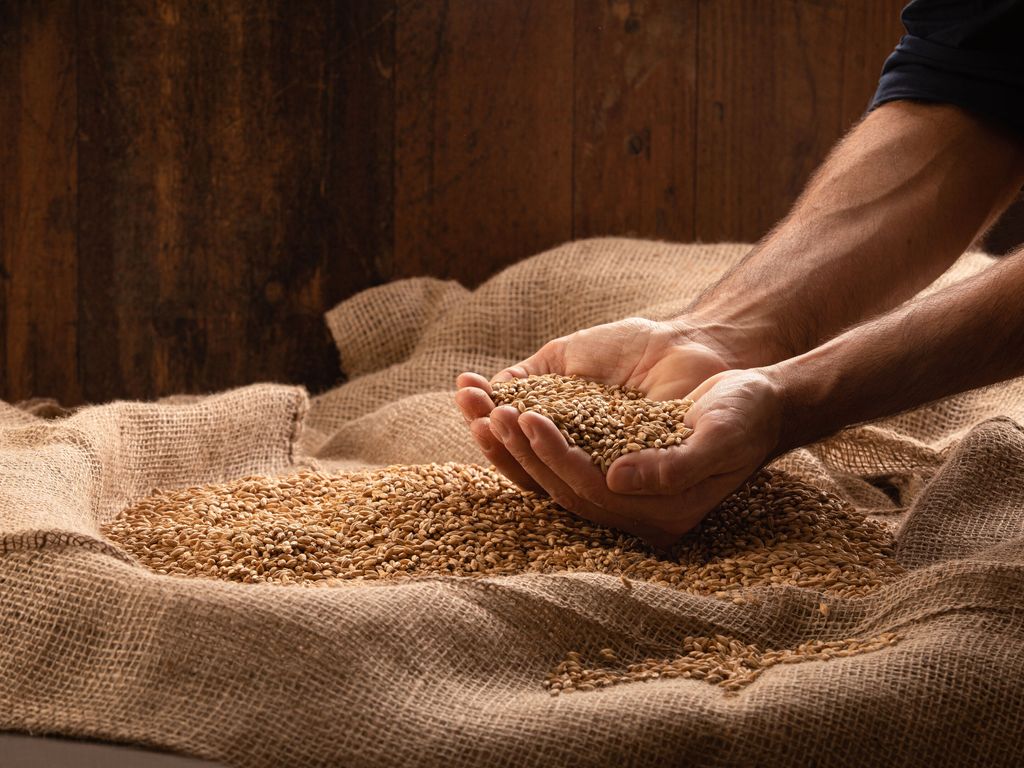 Discover the benefits of self-producing malt for your business!