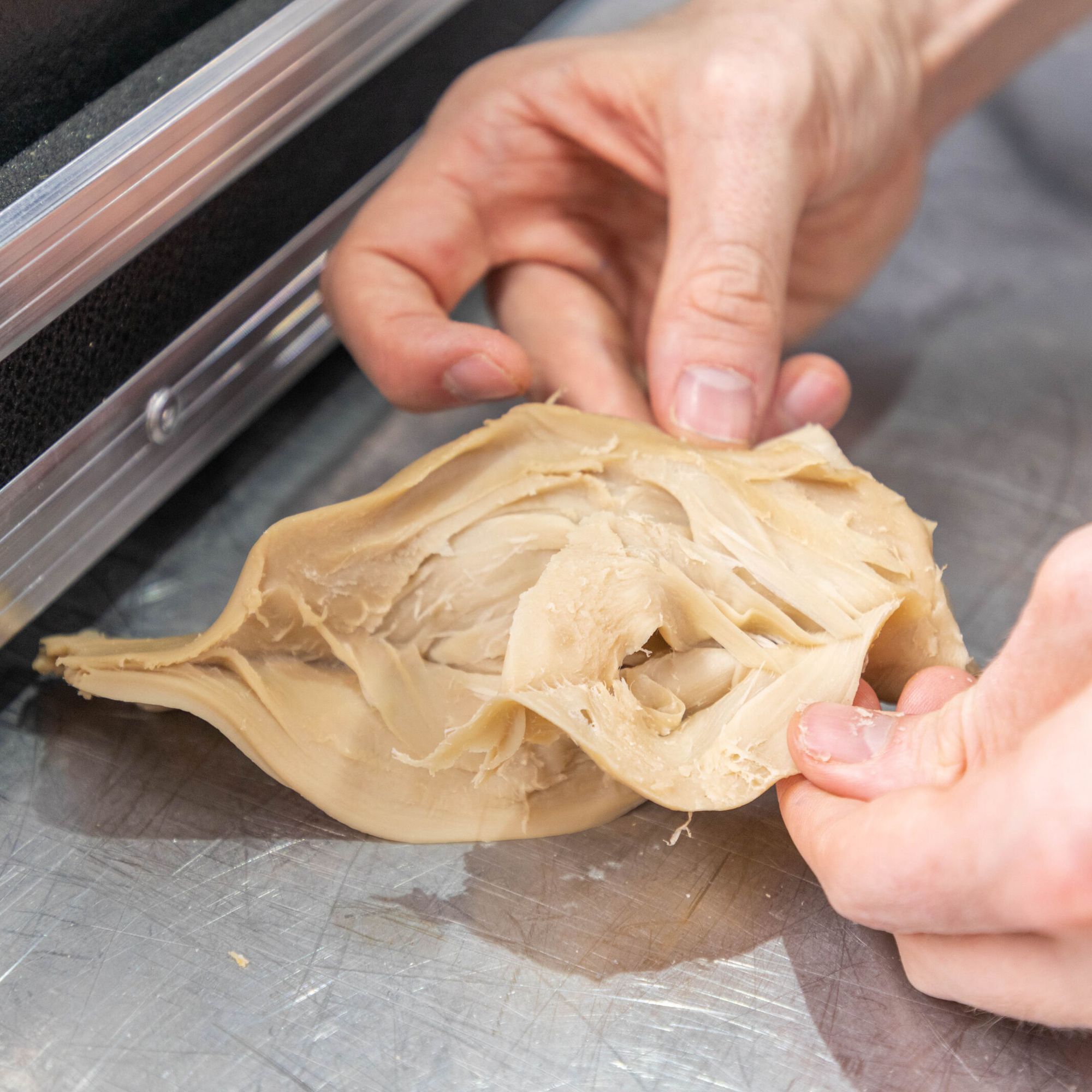 plant-based meat, meat analogue being tested and trial at the buhler application center