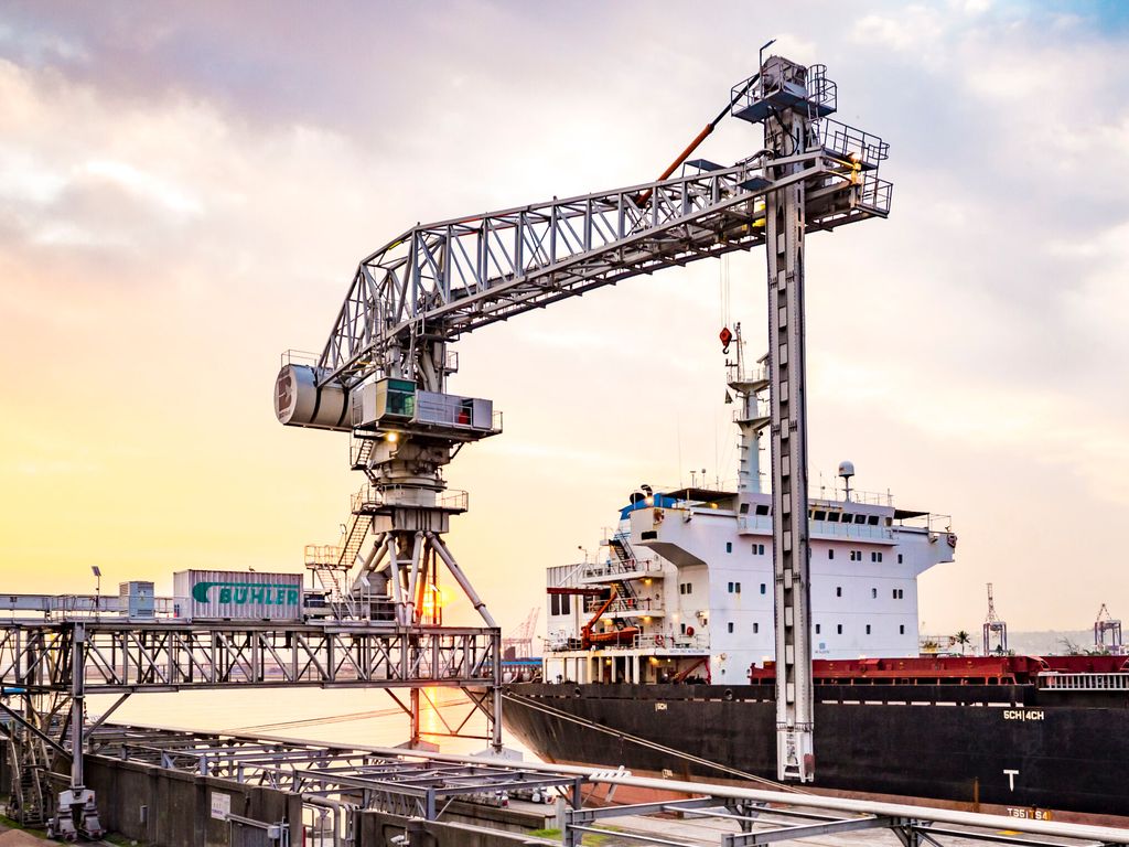 Inspection Ship Unloader | Portalink |Plant Maintenance | Bühler Group