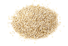 Tabs