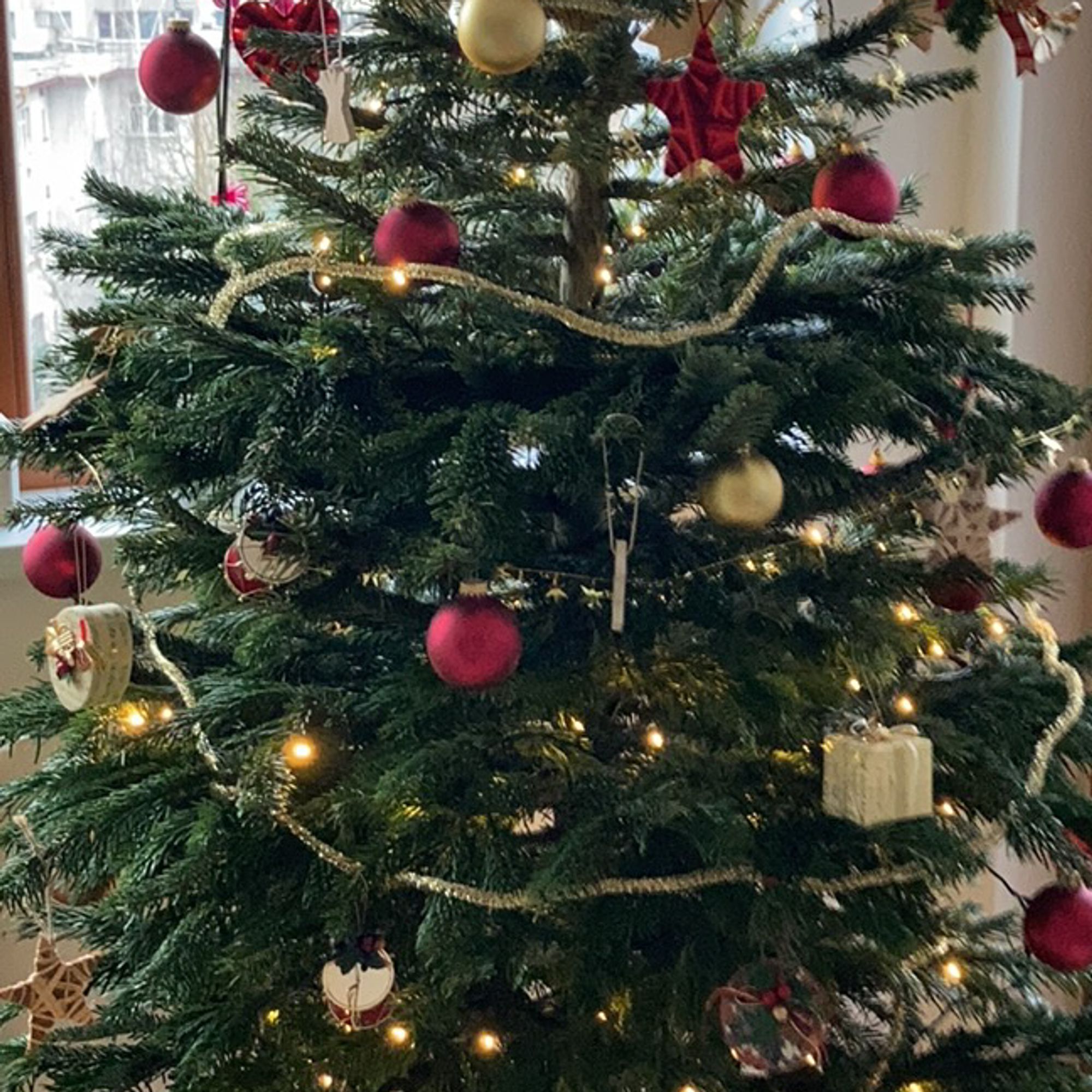 Foto von Beáta Hoferkova, BPRA