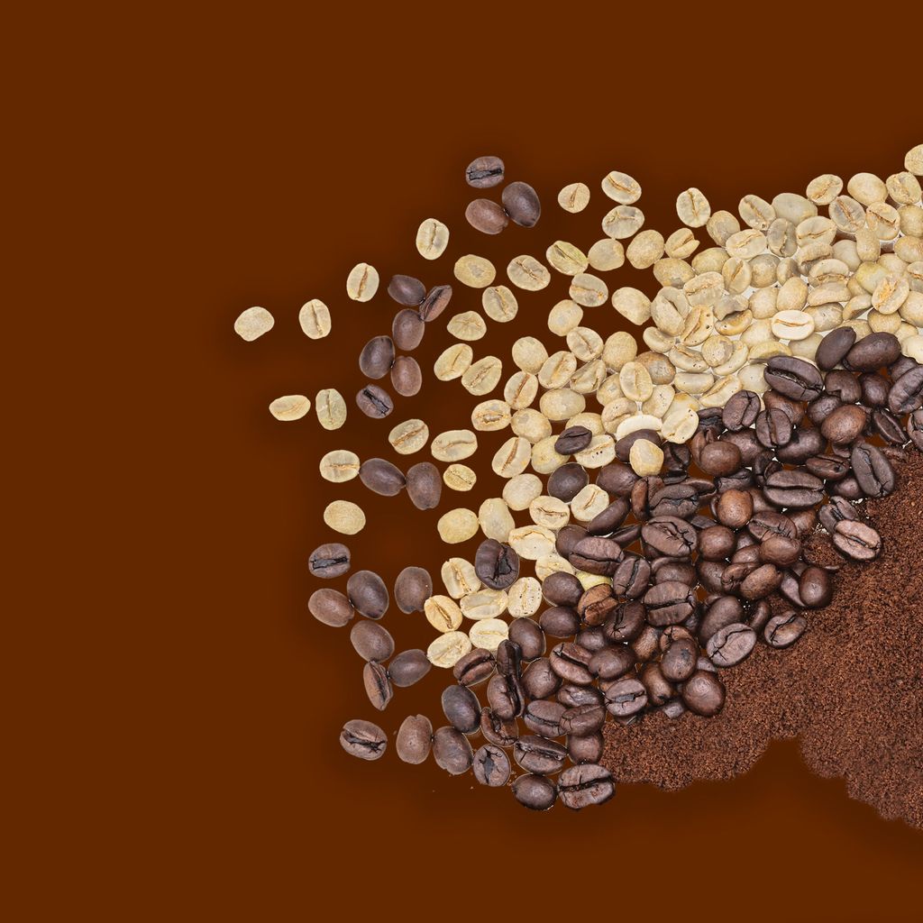 Coffee Processing Equipment, Coffee Manufacturing